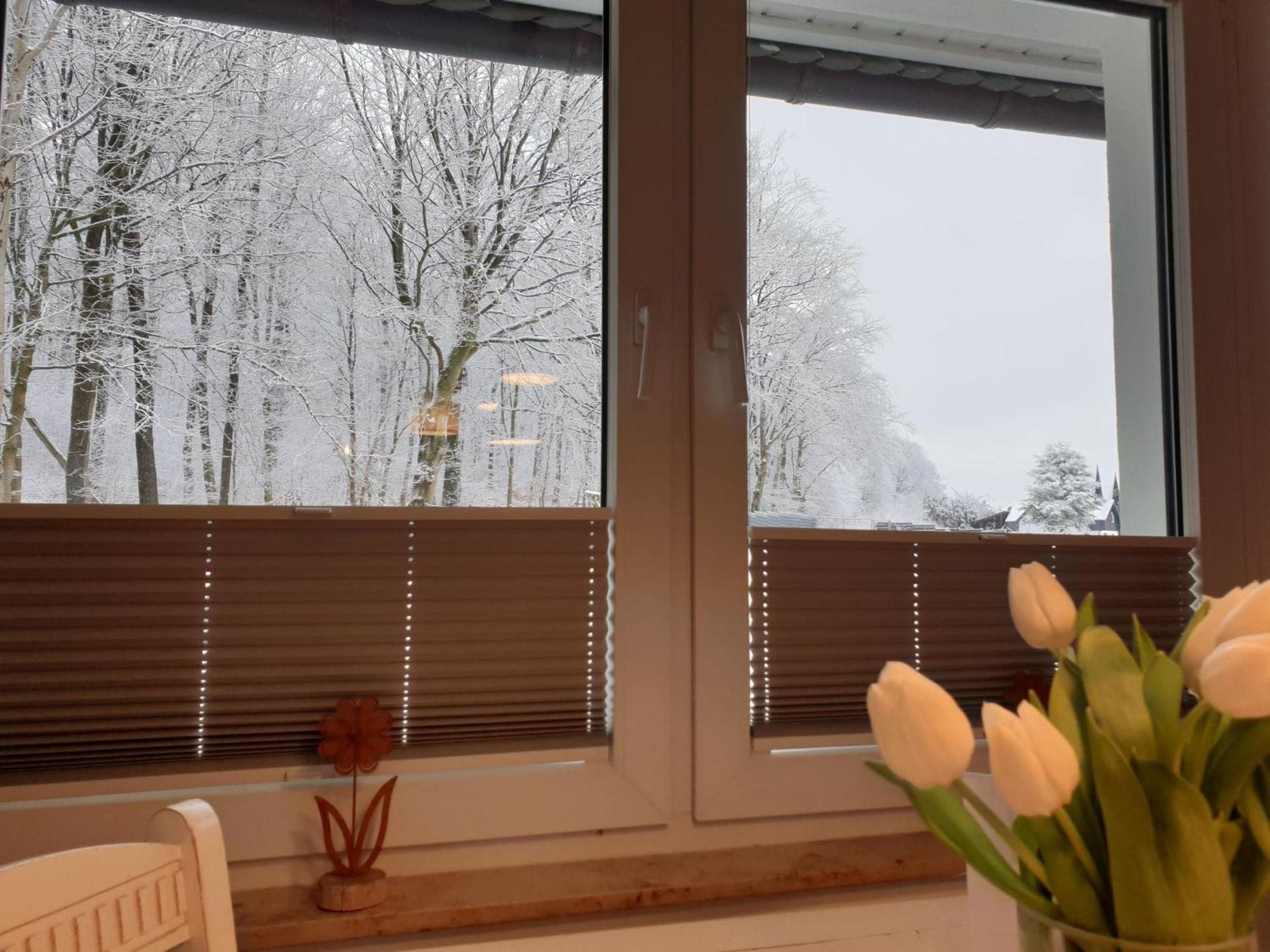 Fewo Winter In Der Villa Waldrand Mit Zwei Balkonen Bad Wünnenberg エクステリア 写真